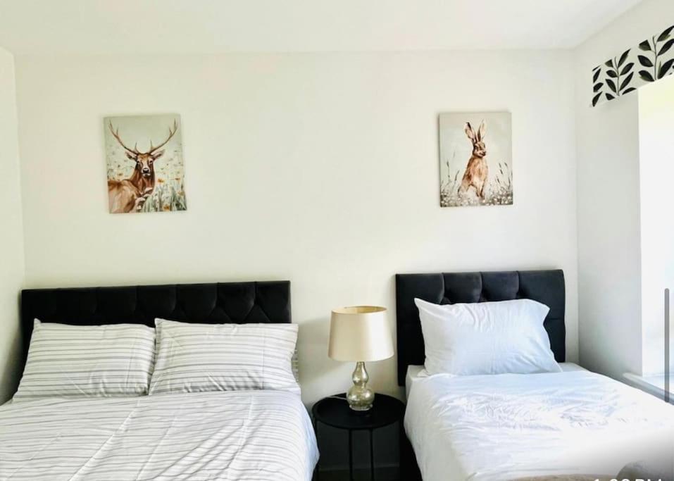 Ashford Retreat - Luxury Home With Double Parking Exterior foto